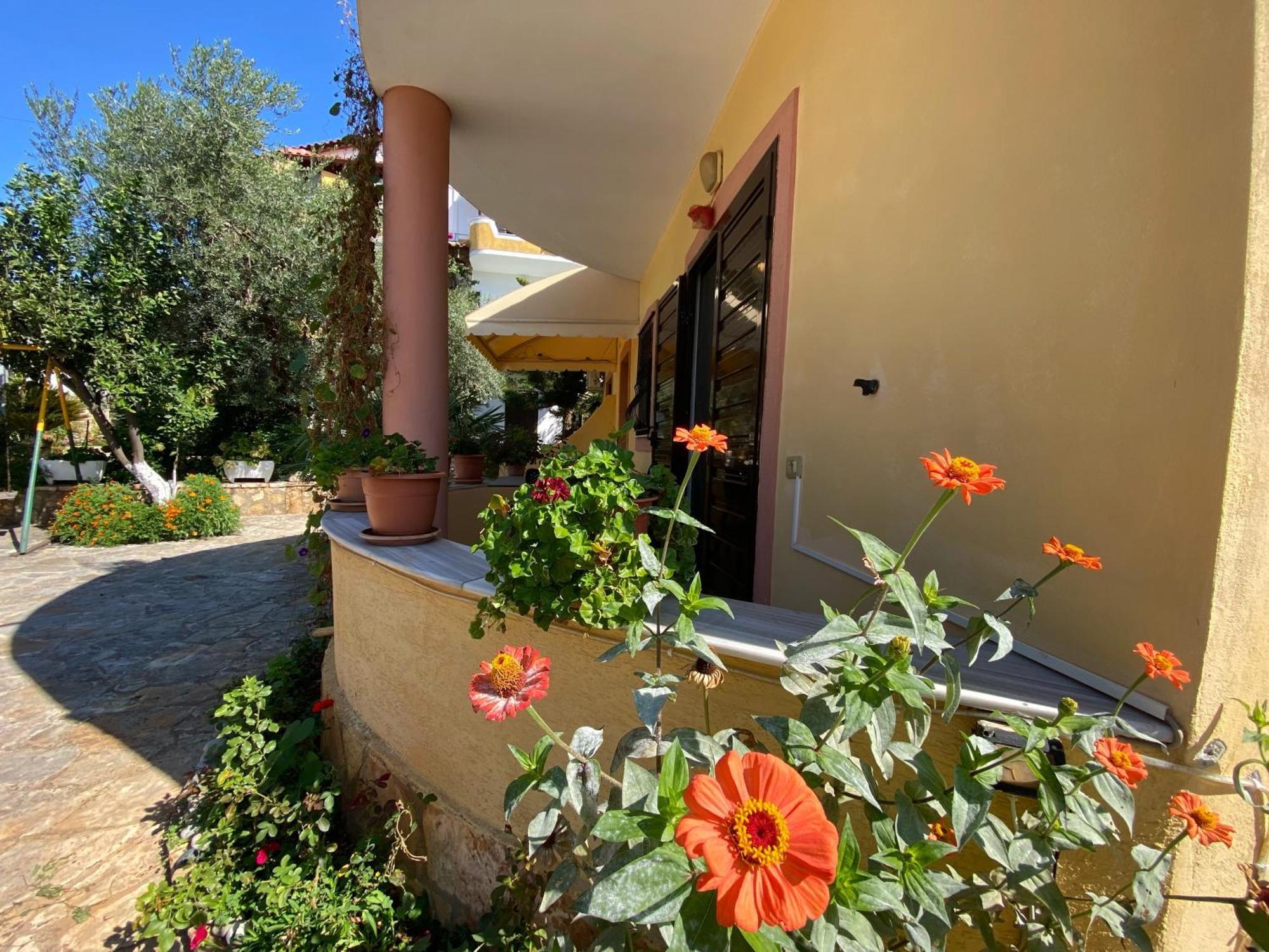 Zak's Guest house *